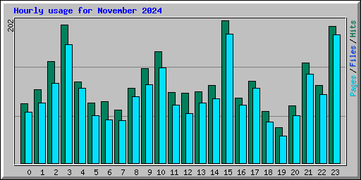 Hourly usage for November 2024