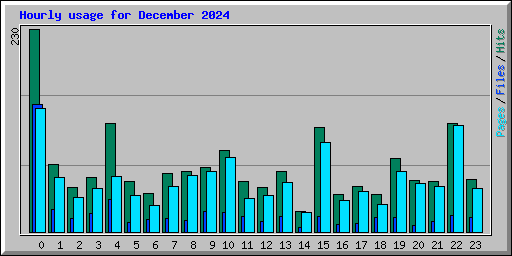 Hourly usage for December 2024